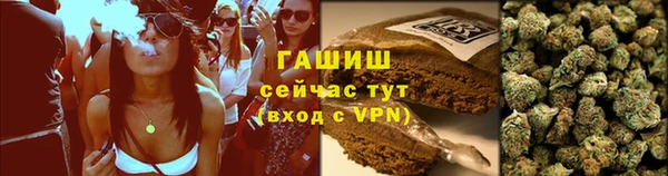 apvp Алзамай
