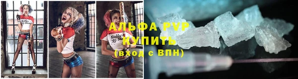 apvp Алзамай