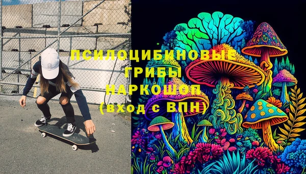 apvp Алзамай